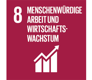 Sustainable Development Goal 8