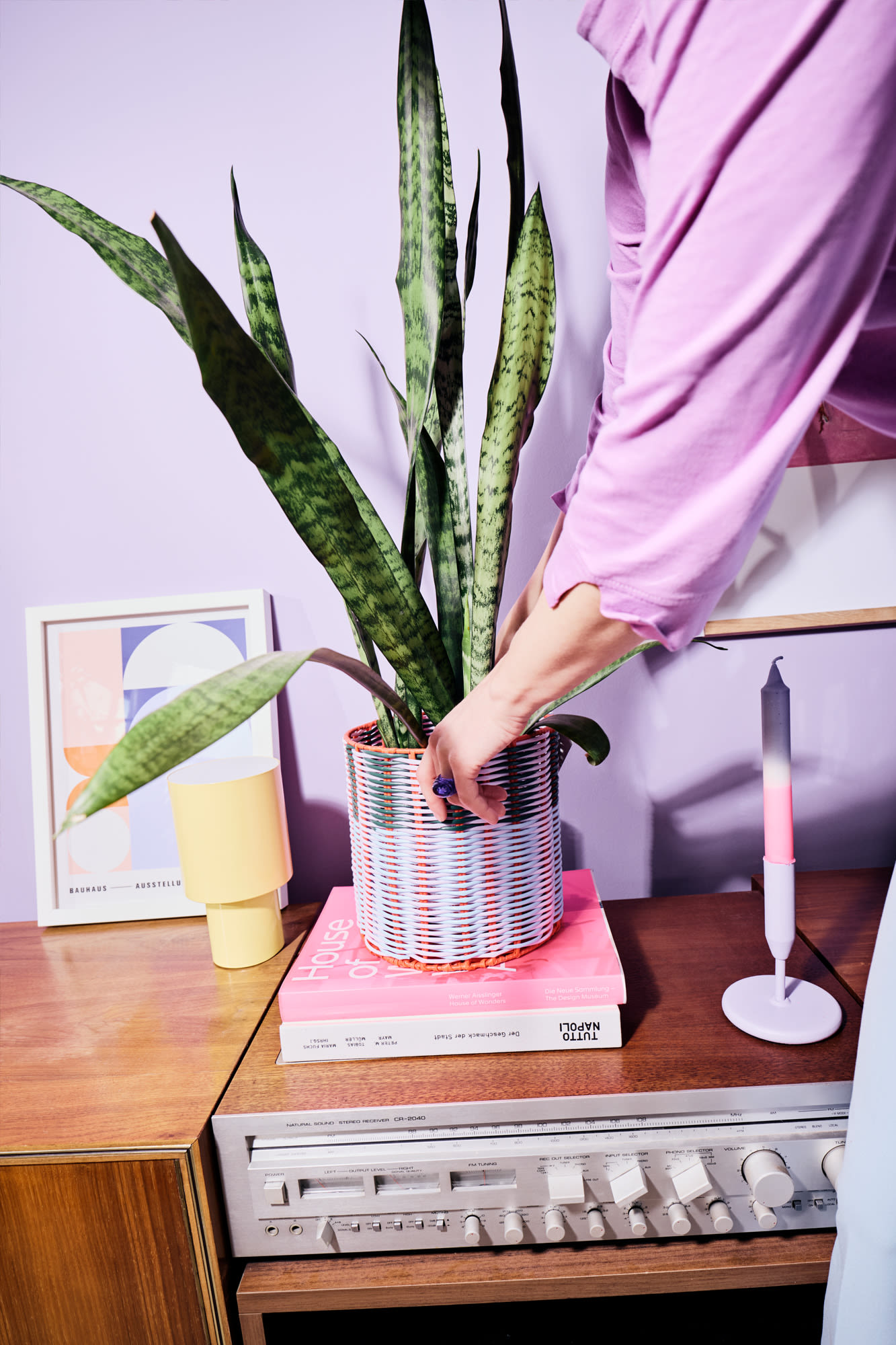 Sobna rastlina se preseli - trajnost in zeleno življenje z BKS.