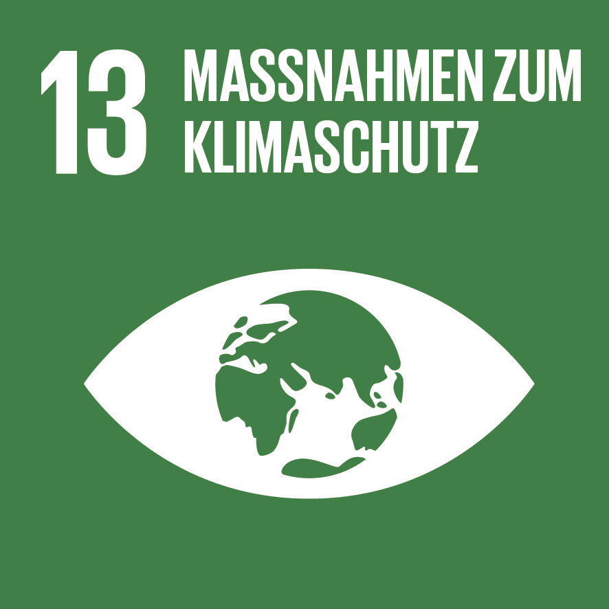 Icon von Ziel für nachhaltige Entwicklung Nummer 13.